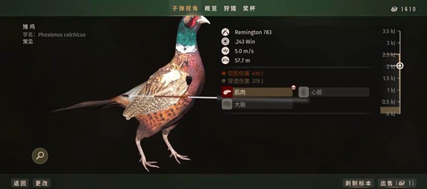 猎人之路兼容版