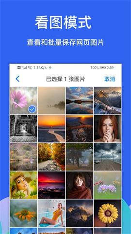 alook浏览器 第4张图